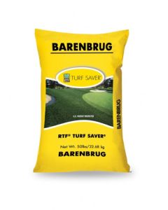 Sportsfield Perennial Ryegrass Turf Seed