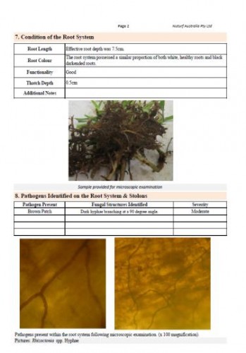 DISEASE ANALYSIS