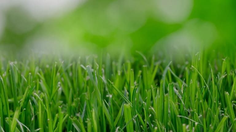 Why Silica Should Be Part Of Your Turf Management Program