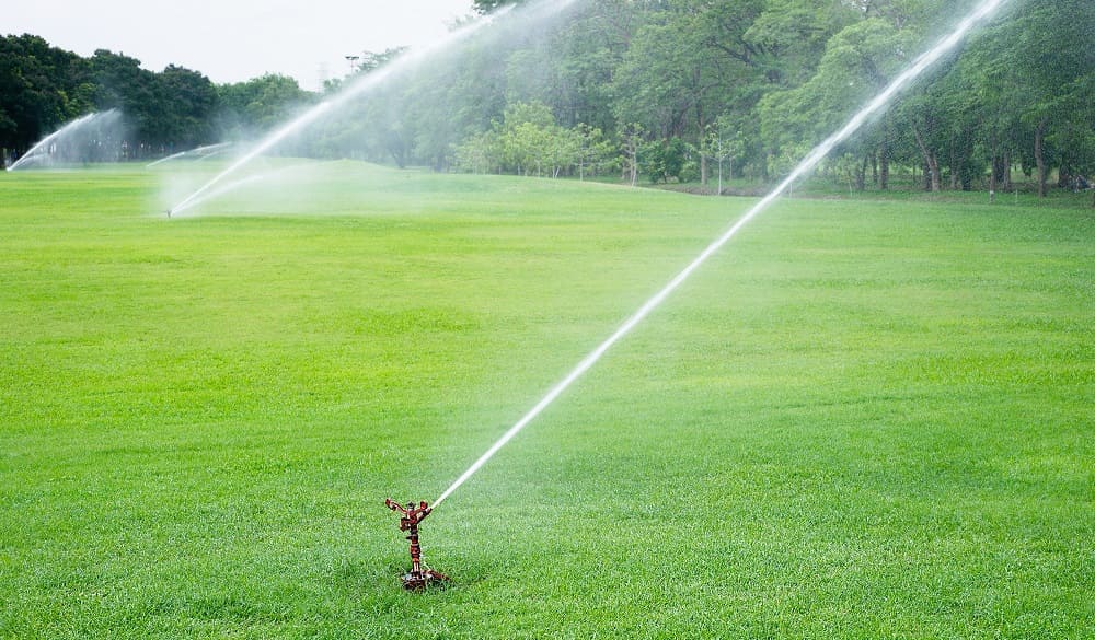 Soil and Water Testing: Why Results Should be Examined Together