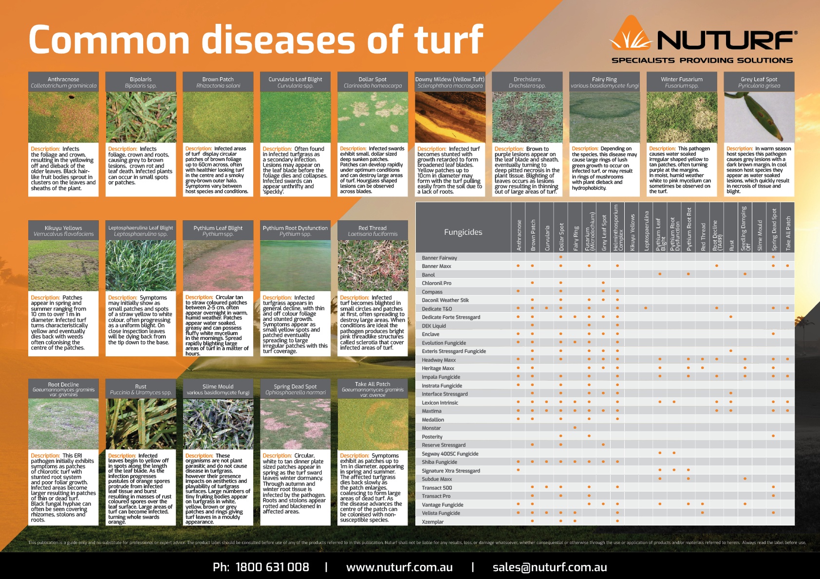 Downloadable Guide: Common Diseases of Turf