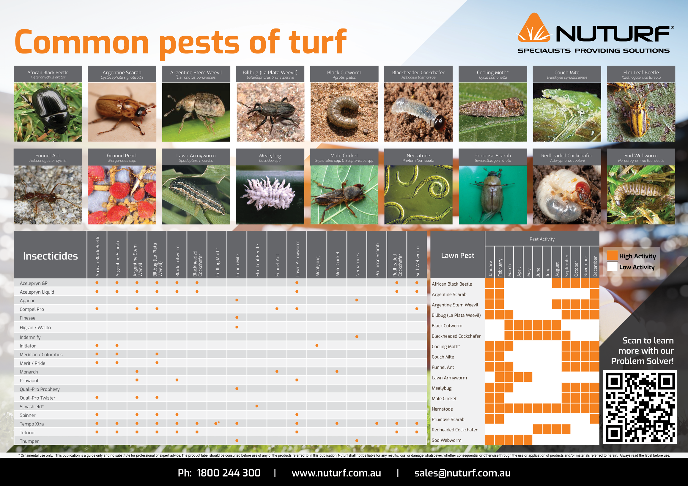 Downloadable Guide: Common Pests of Turf