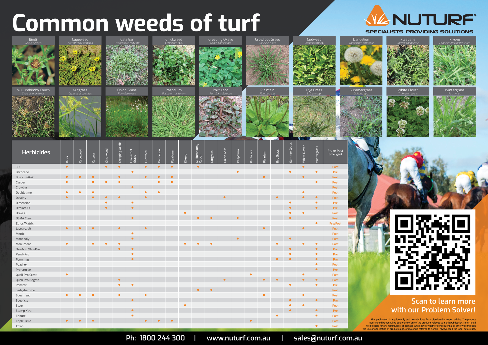 Downloadable Guide: Common Weeds of Turf