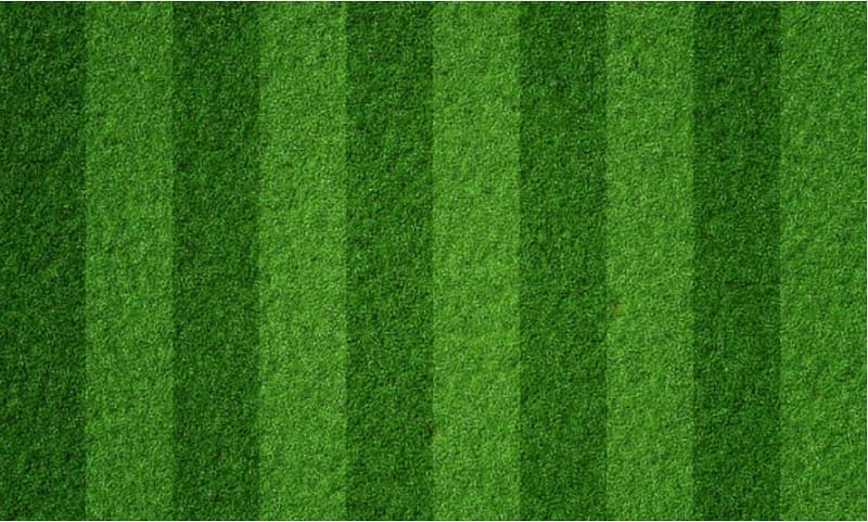 Oversowing Warm Season Turf: Establishment Program Essentials