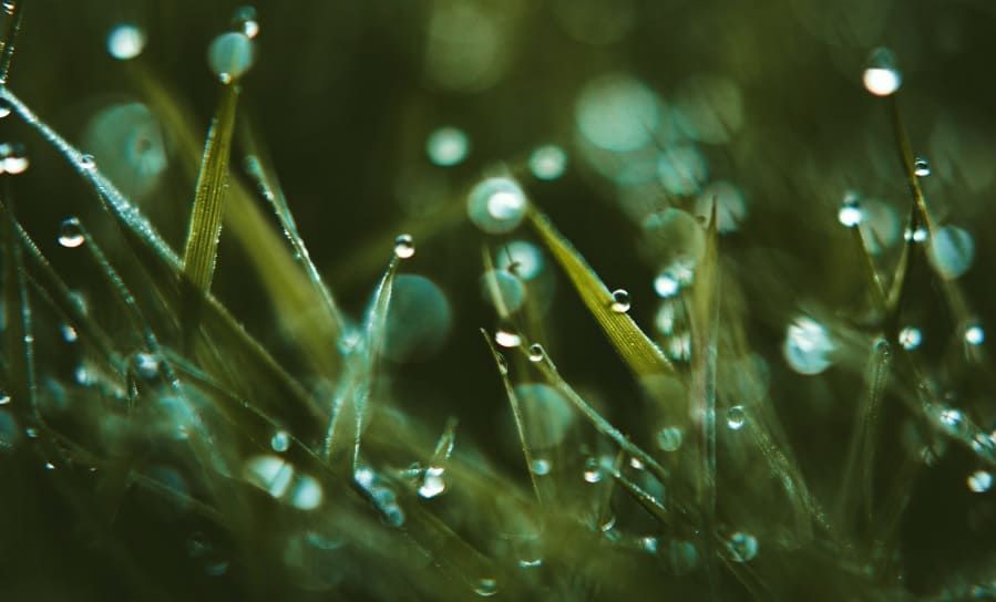 How Spray Surfactants Work and Why You Should Use Them