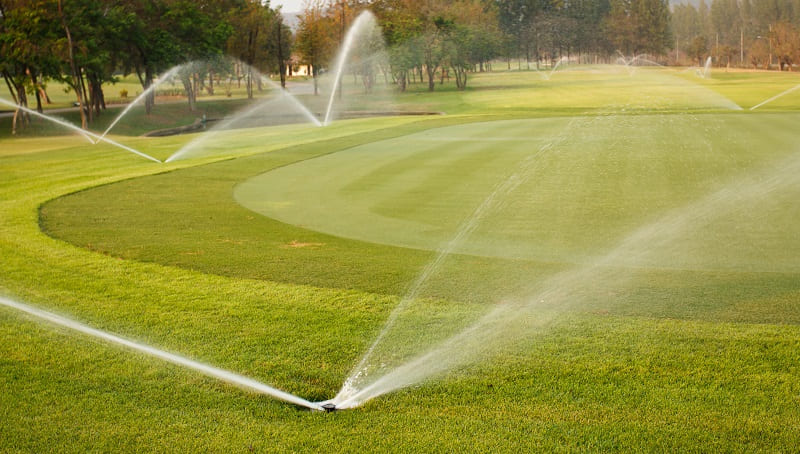 Wetting Agents: The Importance of a Continuous Program