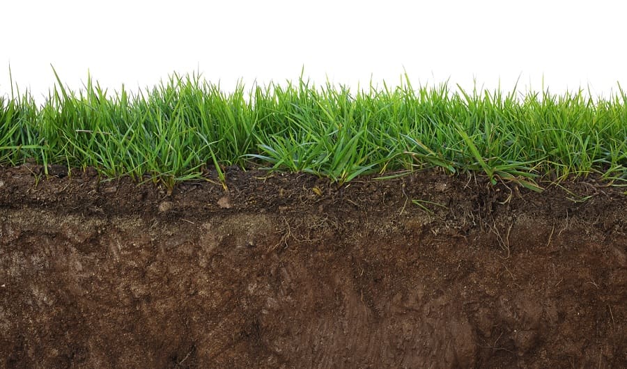 How Soil Wetting Agents Work and Why You Should Use Them