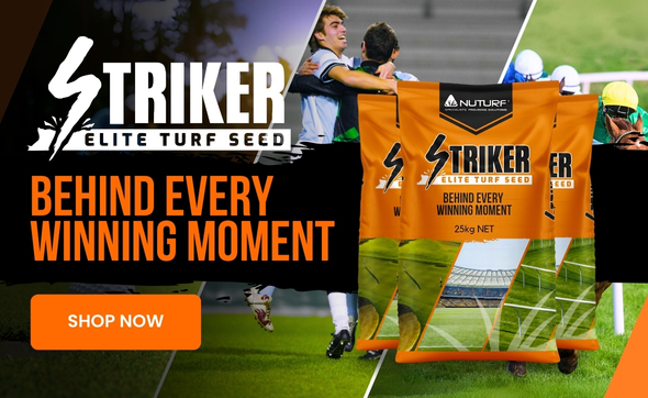 Shop Striker Turf Seed